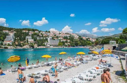 Príroda v okolí apartmánu
