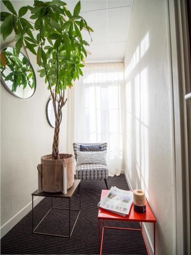 a potted plant in a room with a red table at Hôtel Argia in Hasparren