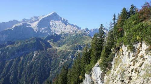 a view of a mountain with trees on it at Ferienwohnung Kramerblick in Grainau
