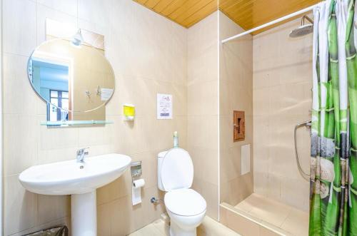 a bathroom with a toilet and a sink and a shower at Areva Hostel & Apartment in Yerevan