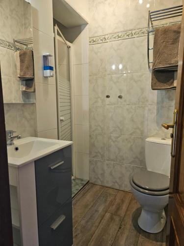 een badkamer met een toilet, een wastafel en een douche bij chambres d'hôtes Amets in Sare