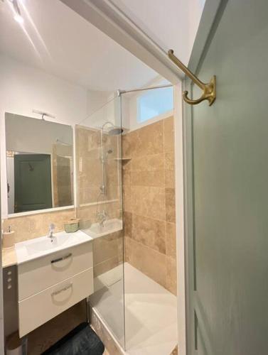 uma casa de banho com uma cabina de duche em vidro e um lavatório. em Appart 1 chambre intra-muros avec JARDIN em Avignon