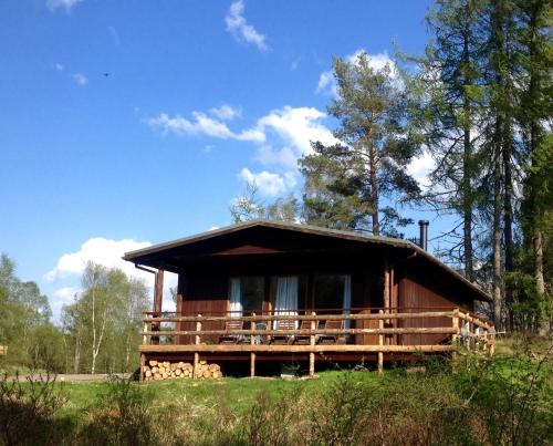 a cabin in the middle of a field with trees at Woodland Retreats in Fort William