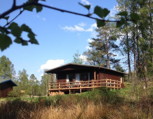 a cabin in the middle of a forest at Woodland Retreats in Fort William