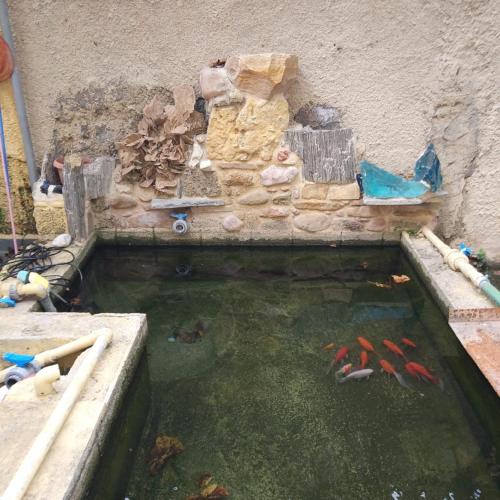 Garden House Elli beach 2 min