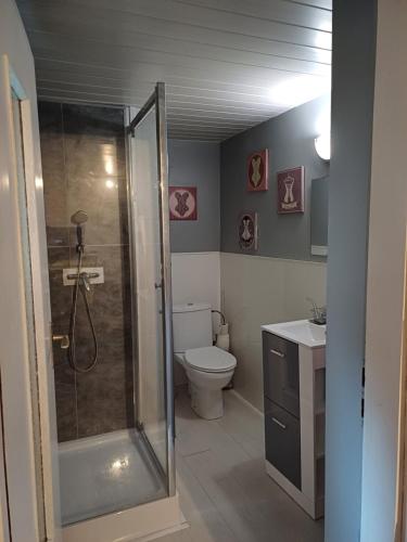 une salle de bain avec une douche, des toilettes et un lavabo dans l'établissement LE GITE, à Colmar