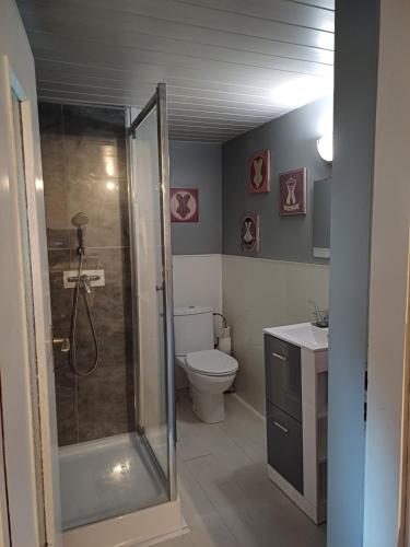 een badkamer met een douche, een toilet en een wastafel bij LE GITE in Colmar