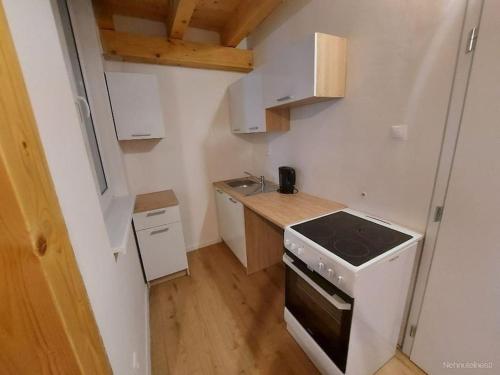a small kitchen with a stove and a sink at Cottage vibe apartment in Komárov
