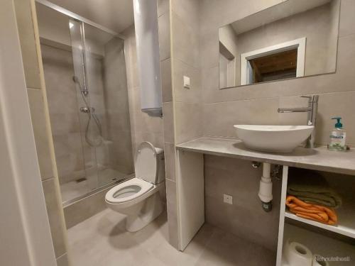 uma casa de banho com um WC, um lavatório e um chuveiro em Cottage vibe apartment em Komárov