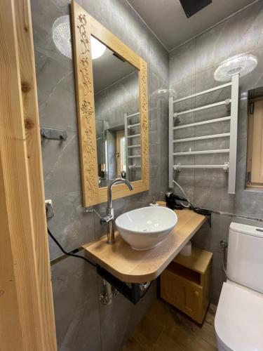 een badkamer met een wastafel en een spiegel bij Domek pod lasem in Klikuszowa