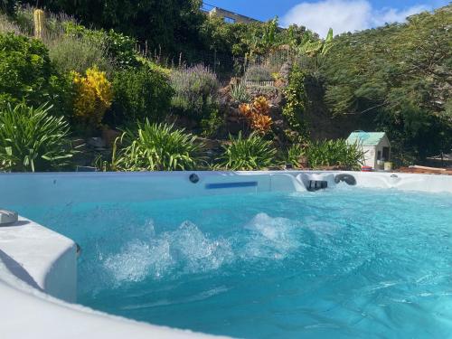 uma piscina de água num quintal com plantas em Quinta Los Tizones em Santa Cruz de Tenerife