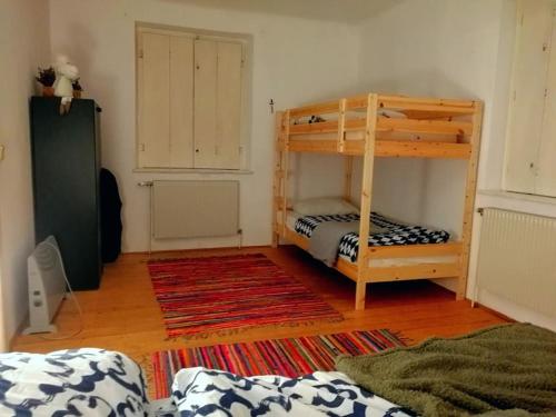 sypialnia z łóżkiem piętrowym i dywanem w obiekcie Gemütliche Landhauswohnung w mieście Payerbach