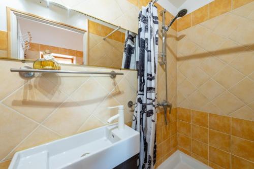 une salle de bain avec un lavabo et une douche dans l'établissement Gîte du Mas Saint Paul - Maison avec piscine, à Travaillan