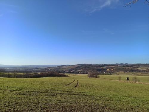 a field of green grass with a dirt road at Zielone Wzgórze komfortowy klimatyzowany domek z balią z aeromasażem in Kłodzko