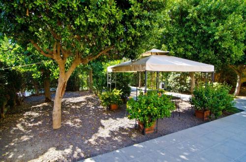 a white umbrella and some plants and a tree at Anna e Gaetano in Misterbianco