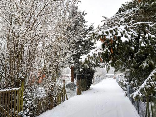 a snow covered alley with a fence and trees at Tiny House in Roxheim