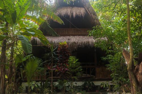 San FelipeにあるRiverback Sanctuaryの茅葺き屋根のジャングル内の家
