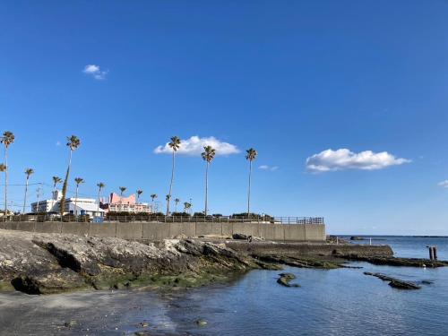 a beach with palm trees and the ocean on a clear day at ocean blue mint海まで３分! 南房総最南端の１棟まるごと貸別荘 in Hongō