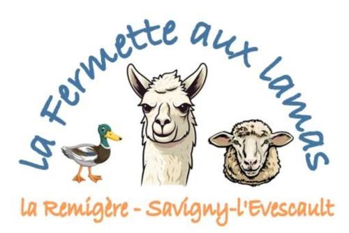 a group of animals with a duck and a goat at La Fermette Aux Lamas in Savigny-Lévescault