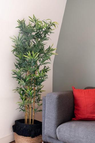 une plante dans un pot à côté d'un canapé dans l'établissement Marcq en Baroeul - Superb apartment + parking, à Marcq-en-Barœul