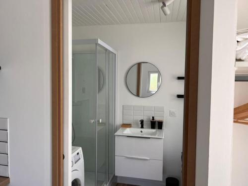une salle de bain avec un lavabo et un miroir dans l'établissement La Petite Grange - 5 mn gare SNCF - Wifi & Netflix, à Niort