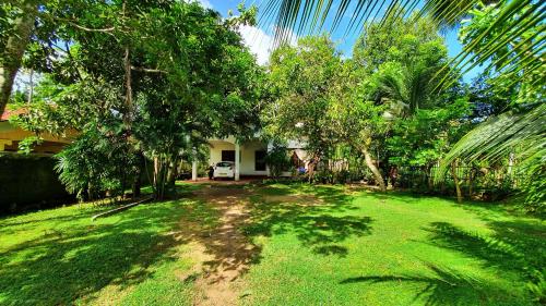 Taman di luar Haven Villa