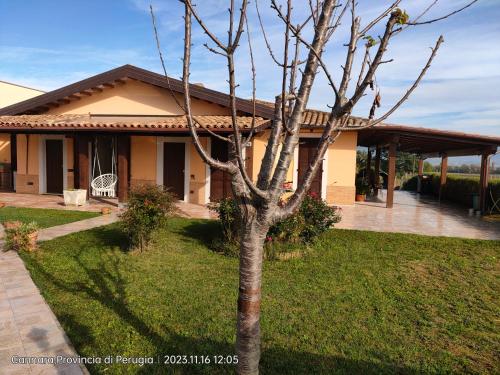 a house with a tree in front of it at A CASA DI DEBY GREEN HOUSE in Limigiano