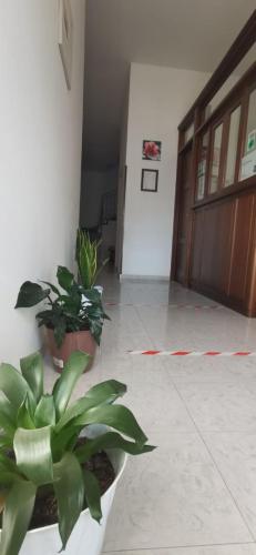 two potted plants in a room with a door at Hotel Edelweiss in Laino Borgo