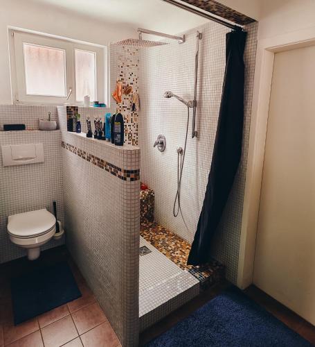 a bathroom with a shower and a toilet at NEW人 Dachterrasse PRIME/TV 人 4min zum Bhf in Kornwestheim