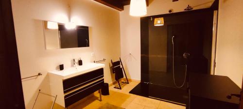 une salle de bain avec un lavabo et une douche dans l'établissement LOUSTERAPH, à Saint-Rémy-de-Provence