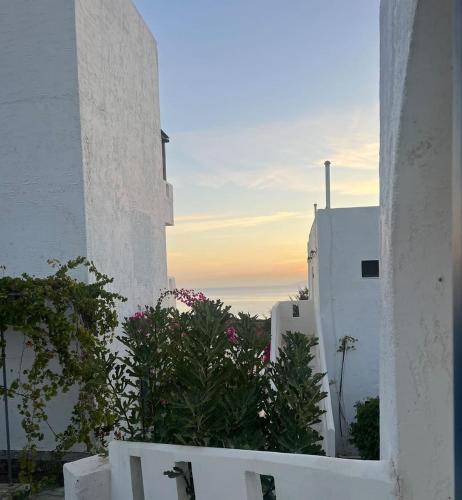 Thalia Bloom Villa Apartments