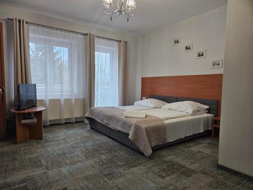 ein Schlafzimmer mit einem Bett und einem TV. in der Unterkunft Zajazd nad Wisłą in Dobrzyków