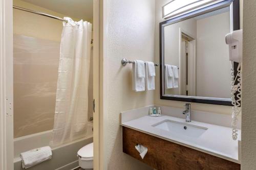 a bathroom with a sink and a toilet and a mirror at Quality Inn Duluth - Atlanta Northeast in Duluth