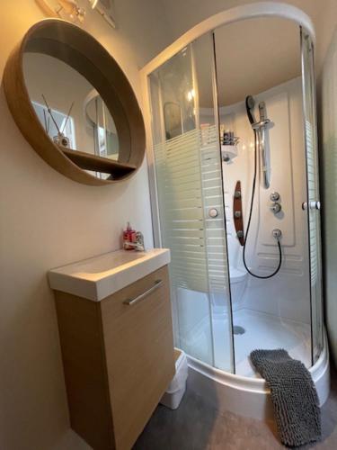 y baño con ducha, lavabo y espejo. en Cosy sur Ourcq 
