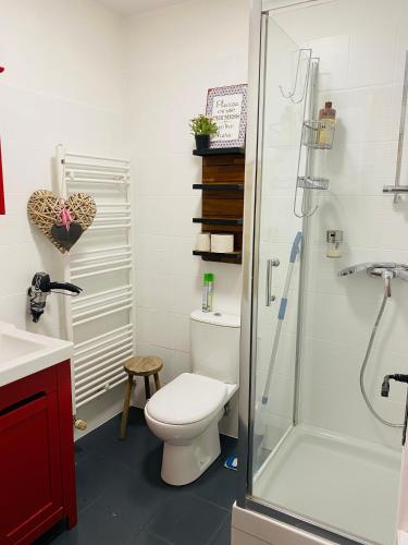 ein Bad mit einem WC und einer Glasdusche in der Unterkunft Studio au calme avec terrasse - hauteurs de Rouen in Bihorel