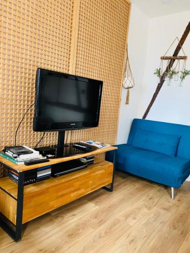 ein Wohnzimmer mit einem TV und einem blauen Sofa in der Unterkunft Studio au calme avec terrasse - hauteurs de Rouen in Bihorel