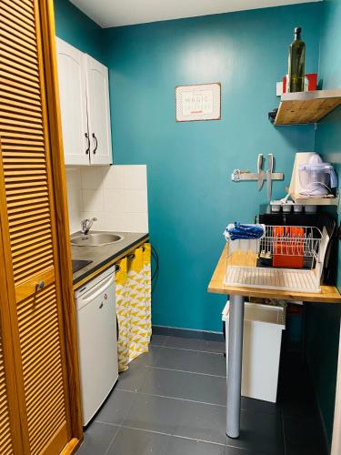 eine kleine Küche mit blauen Wänden und einem Waschbecken in der Unterkunft Studio au calme avec terrasse - hauteurs de Rouen in Bihorel