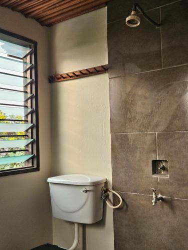 a bathroom with a white toilet and a shower at Busua Beach House in Busua