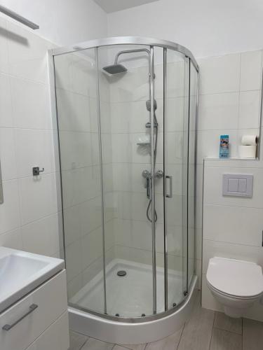 a shower with a glass door in a bathroom at Central apartment Panoramic View in Iaşi