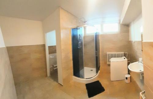 ein Bad mit einer Dusche, einem WC und einem Waschbecken in der Unterkunft LEV I SOVA in Mělník