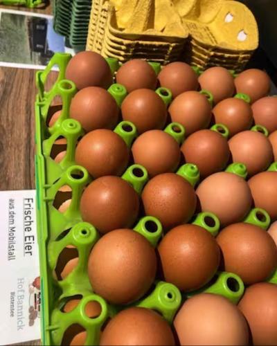 a bunch of brown eggs in a green basket at Ferienhof Bannick in Bistensee