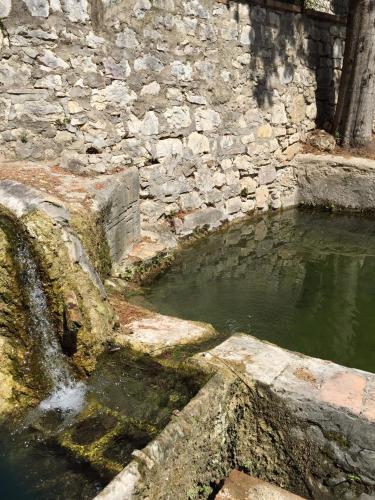 a pool of water next to a stone wall at B&B Cantico Delle Creature in Assisi