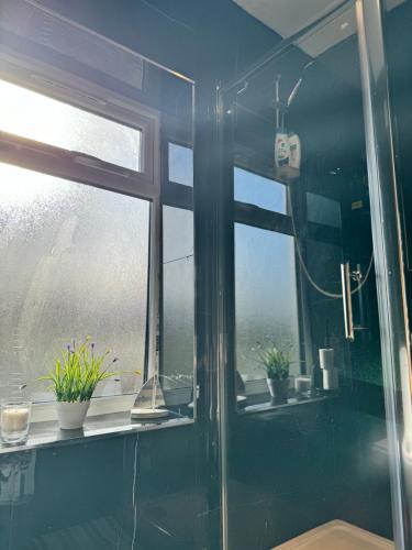 a bathroom with a shower with a window and potted plants at Oxford Studio Flat in Oxford