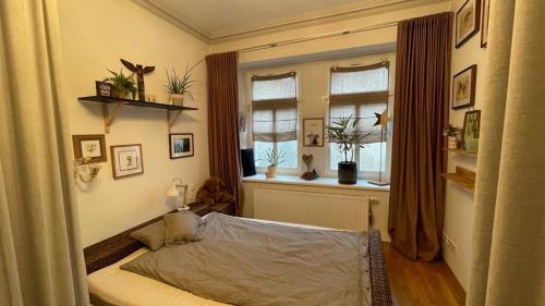 sypialnia z łóżkiem i oknem w obiekcie Gemütliche Wohnung in Gohlis w Lipsku