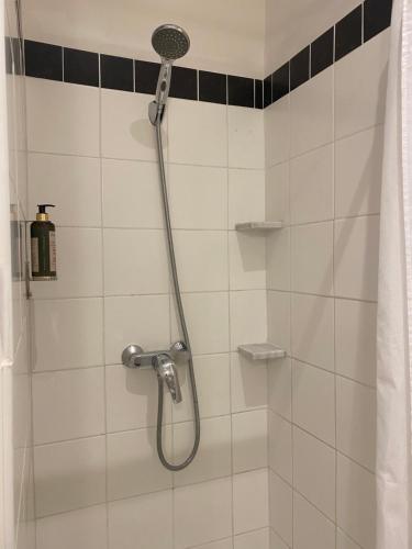 a shower with a shower head in a bathroom at Hotel Central Bastia in Bastia