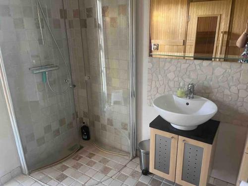 y baño con lavabo y ducha. en Luxury Cottage Only 250m From Beach And Forest en Rude