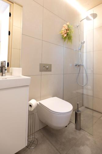 a bathroom with a toilet and a glass shower at The Oceanfront Private Northern Lights Villa in Reynivellir