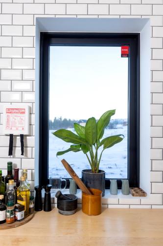 a window with a potted plant on a counter at The Oceanfront Private Northern Lights Villa in Reynivellir