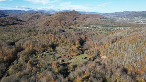 an aerial view of a forest of trees and mountains at Usadba Okhotnichiy Dvor in Yabluniv