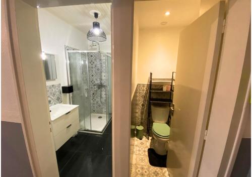 uma casa de banho com um chuveiro, um WC e um lavatório. em Le 107 - Poitiers - CHU - La Conciergerie. em Poitiers